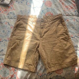 Beige kaki Unisex Shorts